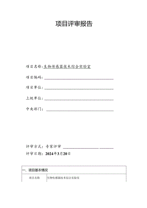 项目评审报告.docx