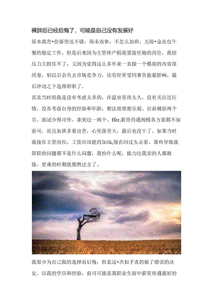 裸辞后已经后悔了可能是自己没有发展好.docx