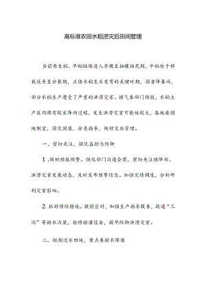 高标准农田水稻涝灾后田间管理.docx