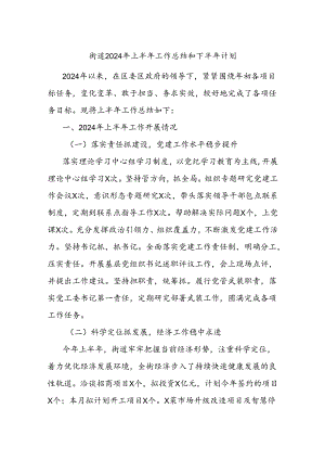 街道2024年上半年工作总结和下半年计划.docx