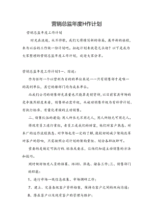营销总监年度工作计划.docx