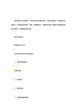 项目介绍范文简短-项目介绍范文.docx