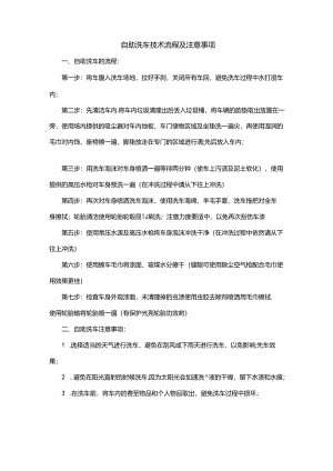 自助洗车技术流程及注意事项.docx