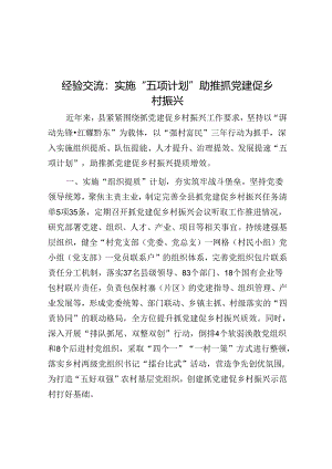 经验交流：实施“五项计划”助推抓党建促乡村振兴.docx