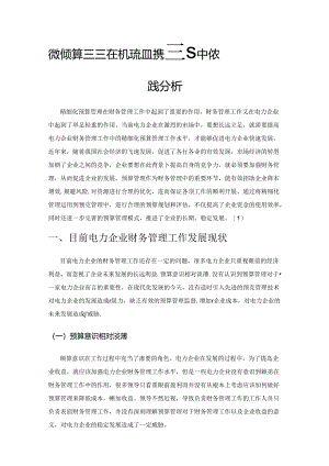 精细化预算管理在电力企业财务管理中的实践分析.docx