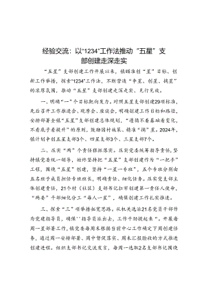 经验交流：以“1234”工作法推动“五星”支部创建走深走实.docx