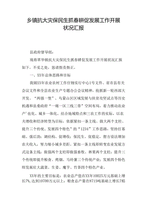 乡镇抗大灾保民生抓春耕促发展工作开展情况汇报.docx