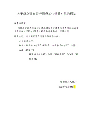 塔尔镇资产清查领导小组.docx