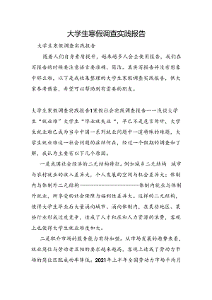 大学生寒假调查实践报告.docx