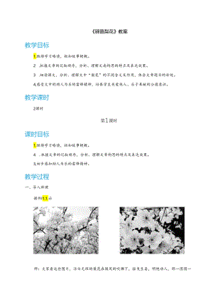 《驿路梨花》教案.docx