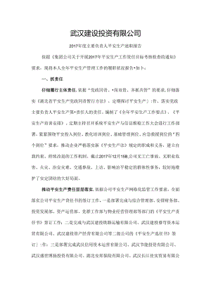 主要负责人安全生产述职报告(帮忙给个五星).docx