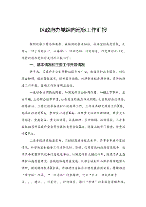 区政府办党组向巡察工作汇报.docx