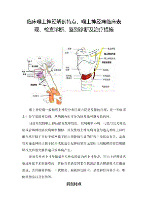 临床喉上神经解剖特点、喉上神经痛临床表现、检查诊断、 鉴别诊断及治疗措施.docx