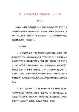 关于公司党建工作总结及下一步计划（精选）.docx