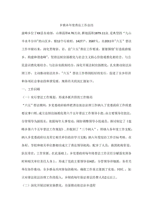 乡镇本年度普法工作总结.docx