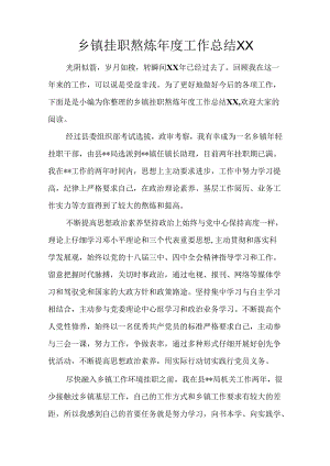乡镇挂职锻炼年度工作总结XX.docx