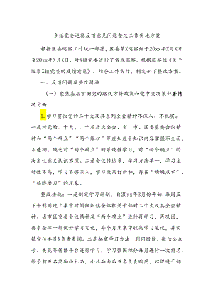 乡镇党委巡察反馈意见问题整改工作实施方案.docx