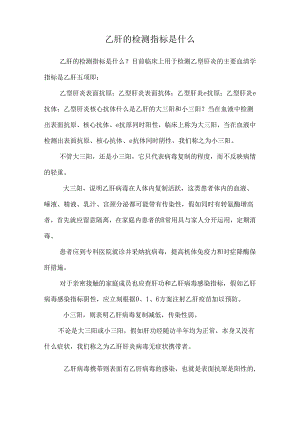 乙肝的检测指标是什么.docx