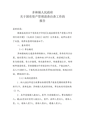 多林镇人民政府资产清查报告.docx