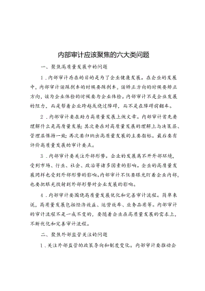 内部审计应该聚焦的六大类问题.docx