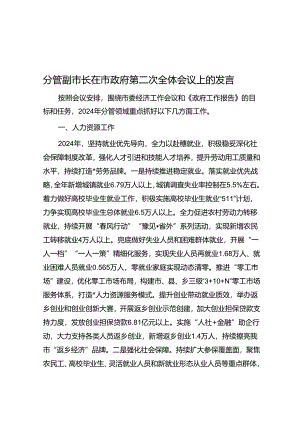 分管副市长在市政府第二次全体会议上的发言.docx
