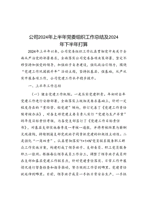 公司2024年上半年党委组织工作总结及2024年下半年打算.docx