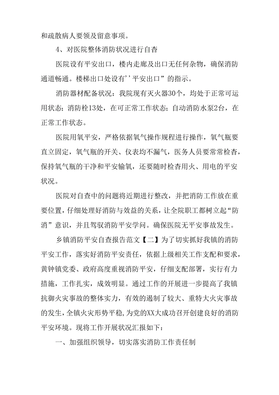 乡镇消防安全自查报告.docx_第2页