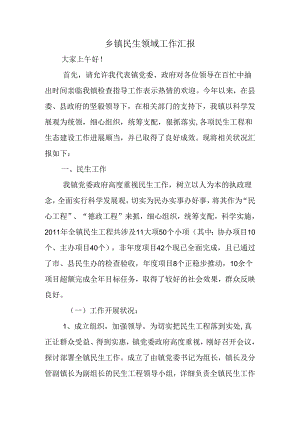 乡镇民生领域工作汇报.docx