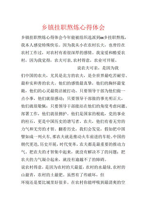 乡镇挂职锻炼心得体会.docx