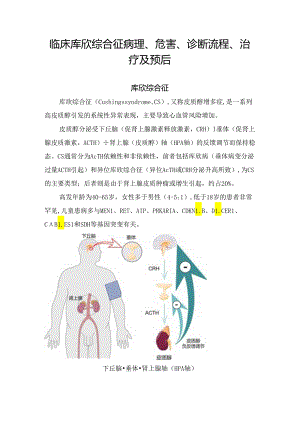 临床库欣综合征病理、危害、诊断流程、治疗及预后.docx