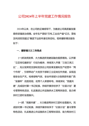 公司2024年上半年党建工作情况报告.docx