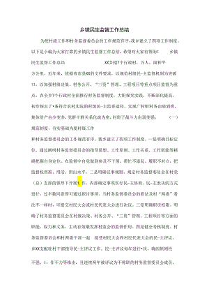 乡镇民生监督工作总结.docx