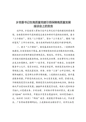 乡党委书记在高质量党建引领保障高质量发展座谈会上的发言.docx