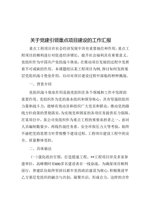 关于党建引领重点项目建设的工作汇报.docx