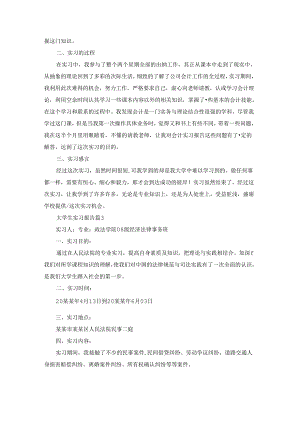 大学生实习报告模板汇总六篇.docx