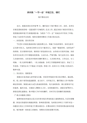 乡镇环境卫生整治工作总结.docx