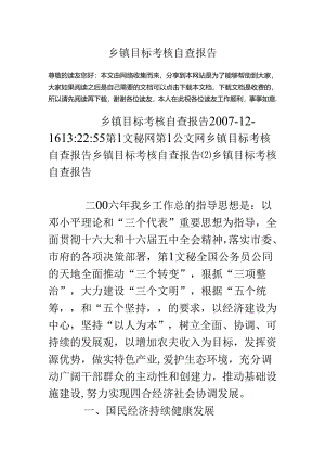 乡镇目标考核自查报告.docx