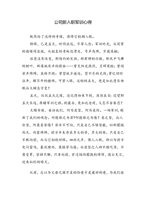 公司新入职军训心得.docx