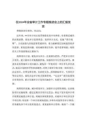 在2024年全省审计工作专题推进会上的汇报发言.docx