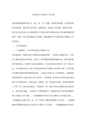 乡镇环境卫生整治工作汇报.docx