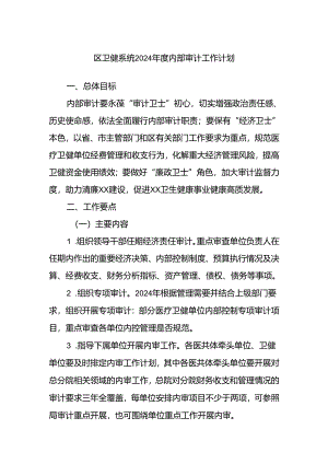 区卫健系统2024年度内部审计工作计划.docx