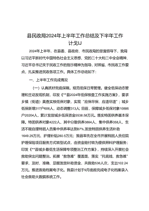 县民政局2024年上半年工作总结及下半年工作计划.docx