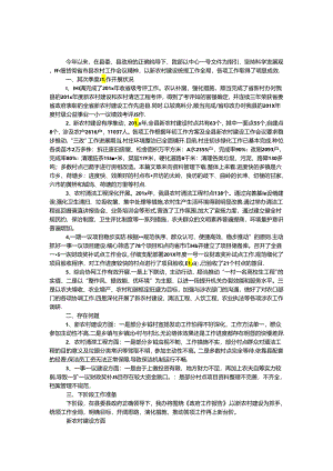 乡镇农办主任工作总结.docx