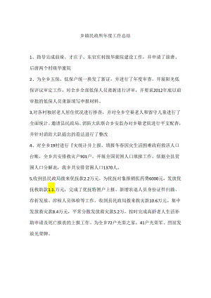 乡镇民政所年度工作总结.docx