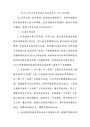 乡2024年上半年党建工作总结及下一步工作打算.docx