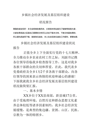 乡镇社会经济发展及基层组织建设情况报告.docx