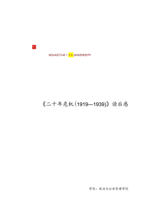 二十年危机.docx
