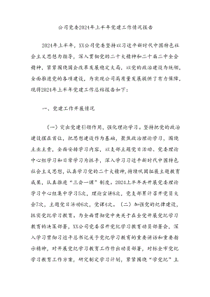 公司党委2024年上半年党建工作情况报告.docx