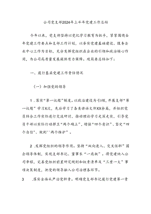公司党支部2024年上半年党建工作总结.docx