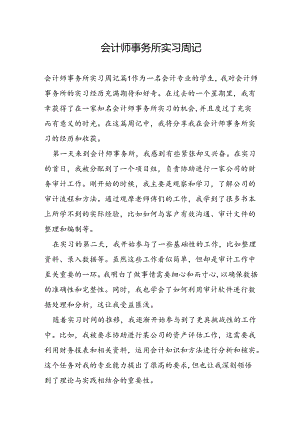 会计师事务所实习周记.docx